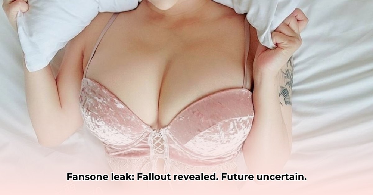 fansone-leak